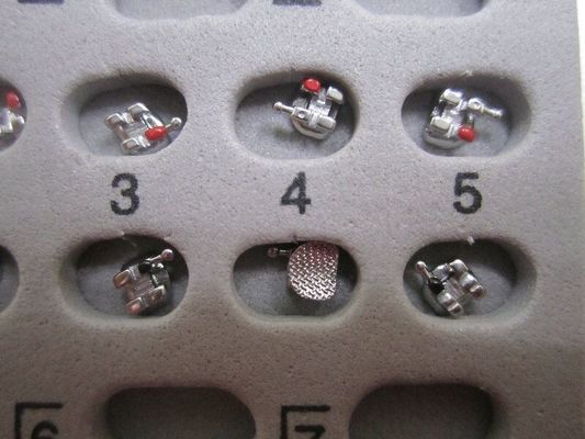 Proveedores de ortodoncia Dental láser con soporte metálico con 1 año de vida útil