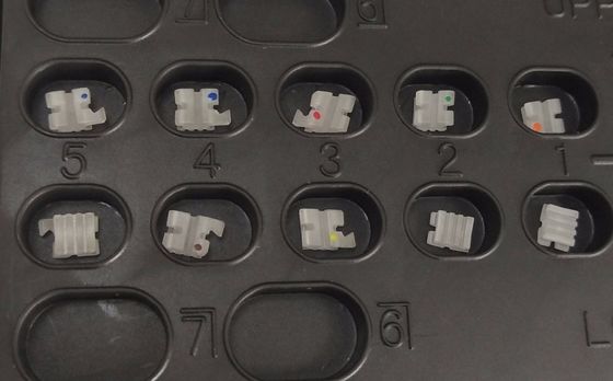 Clínica DTC Ortodoncia Dental Ortodoncia soporte cerámico para la clasificación de instrumentos de clase I